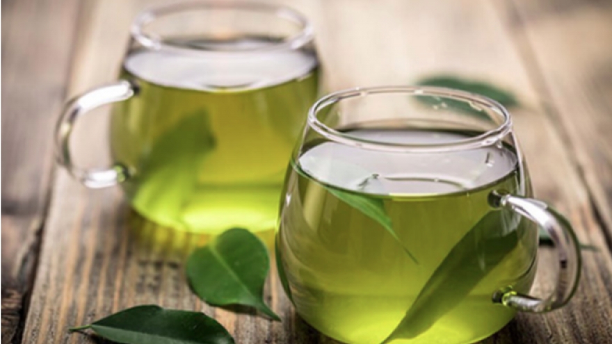Lá vối được giới Đông y đánh giá cao về tác dụng chữa bệnh